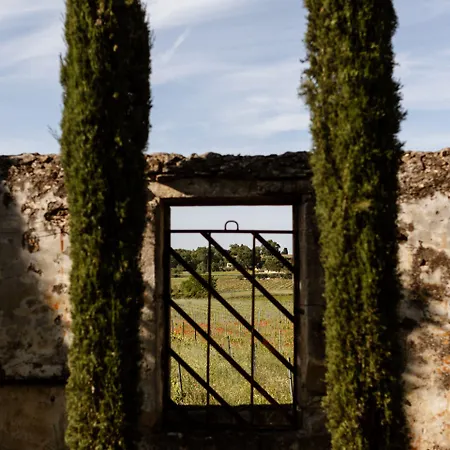Domaine De L'osage